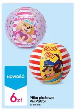 Pepco Piłka plażowa Psi Patrol śr. 31,5cm oferta