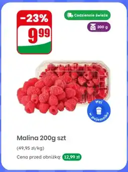Dino Malina oferta