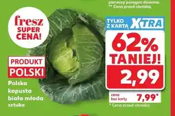 Kaufland Polska kapusta biała młoda oferta