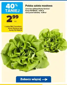 Carrefour Sałata masłowa polska oferta