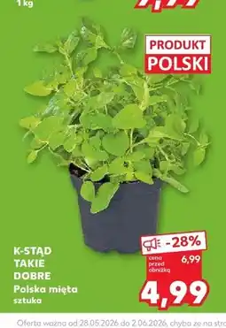 Kaufland Polska mięta K-Stąd Takie Dobre oferta