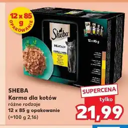 Kaufland Karma dla kotów Sheba Delicacy 12-pak oferta
