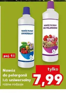 Kaufland Nawóz do pelargonii oferta