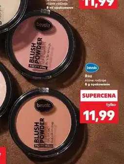 Kaufland Róż bevola Pretty Pink oferta