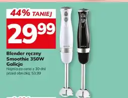 Hitpol Blender ręczny Smoothie 350W Galicja oferta