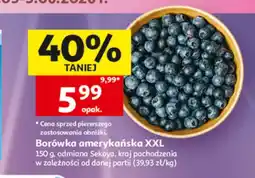 Auchan Borówka amerykańska oferta