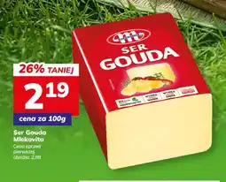 Hitpol Ser Gouda Mlekovita oferta