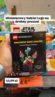 Biedronka Miniaturowy bukiet kwiatów LEGO Botanicals oferta