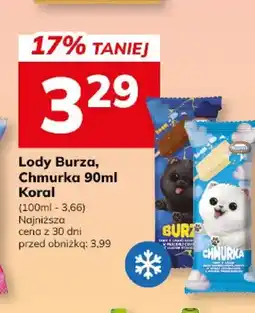 Hitpol Lody Burza Koral oferta