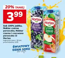 Hitpol Nektar czarna porzeczka Hortex oferta