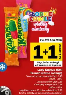 Hitpol Lody Kaktus Froneri oferta
