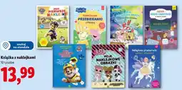Lidl Książka z naklejkami oferta