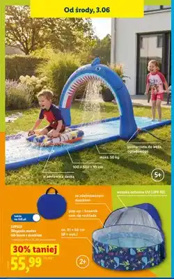 Lidl Ślizgawka wodna lub basen z daszkiem LUPILU oferta
