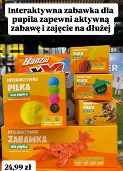 Biedronka Interaktywna zabawka dla pupila oferta