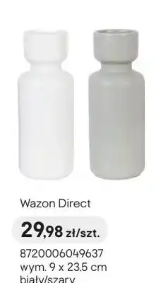 Castorama Wazon Direct wym. 9x23,5cm szary oferta