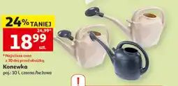 Auchan Konewka oferta