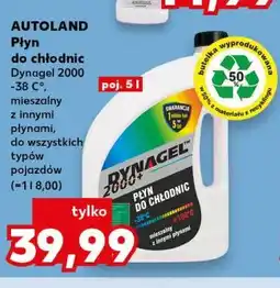 Kaufland Płyn do chłodnic Dynagel 2000 -38 C° oferta