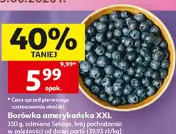 Auchan Borówka amerykańska XXL oferta