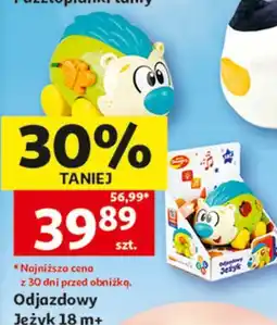 Auchan Odjazdowy Jeżyk 18 m+ oferta