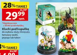 Auchan Klocki pod kopułką oferta