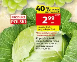 Auchan Kapusta młoda oferta