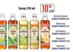 AT Syrop Mniszek lekarski oferta