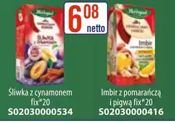 AT Herbapol Herbaciany Ogród Śliwka z cynamonem oferta