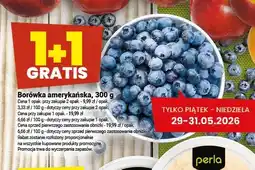 Twój Market Borówka amerykańska oferta