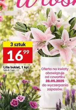 Twój Market Lilia bukiet 3-pak oferta