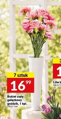 Twój Market Bukiet cięty gałązkowy goździk 7-pak oferta