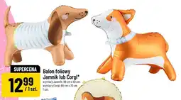 Polomarket Balon foliowy Jamnik 89x58cm oferta