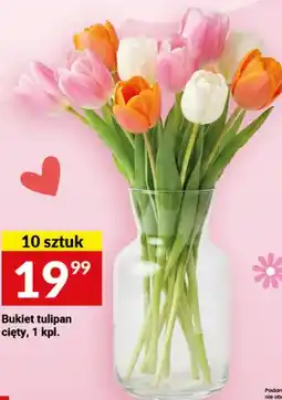 Twój Market Bukiet tulipan cięty oferta
