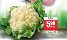 Bingo Kalafior oferta
