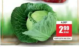 Bingo Kapusta młoda oferta