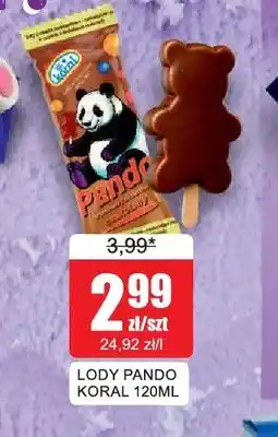 Bingo Lody Pando Koral oferta