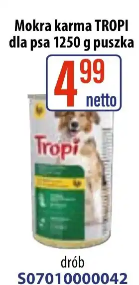 AT Mokra karma tropi dla psa oferta