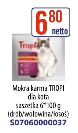 AT Mokra karma tropi dla kota oferta