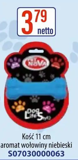 AT PET nova Kość oferta
