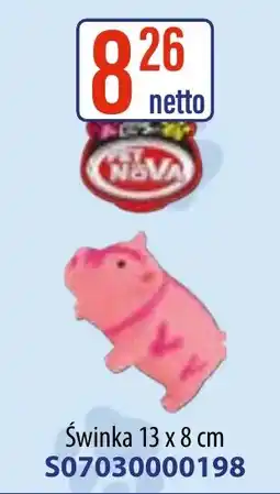 AT PET nova Świnka oferta
