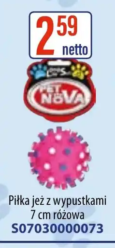 AT PET nova Piłka jeż z wypustkami oferta