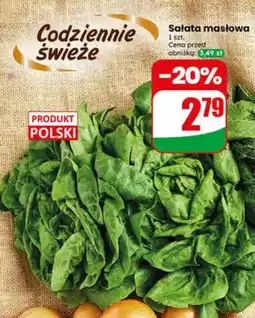 Dino Sałata masłowa polska oferta