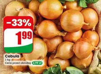 Dino Cebula oferta
