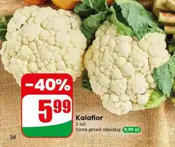 Dino Kalafior oferta