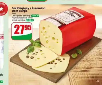 Dino Ser Książęcy z Żuromina OSM Sierpc oferta