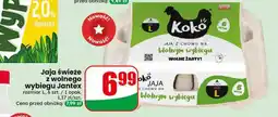 Dino Jaja świeże z wolnego wybiegu rozmiar L Jantex oferta