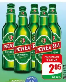 Dino Piwo Perła Chmielowa butelka bezzwrotna oferta
