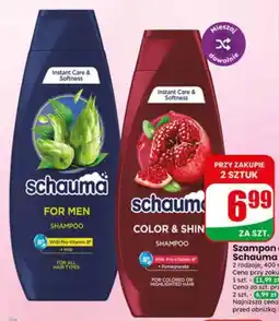 Dino Szampon do włosów Schauma For Men oferta