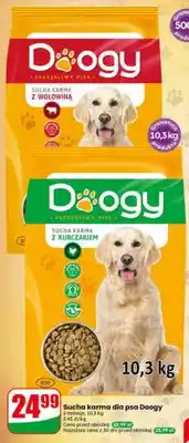 Dino Sucha karma dla psa Doogy z wołowiną oferta