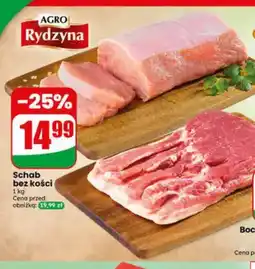 Dino Schab bez kości AGRO Rydzyna oferta