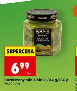 Biedronka Korniszony mini Rolnik oferta